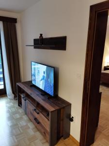 TV a/nebo společenská místnost v ubytování ATMOSPHERE Apartments