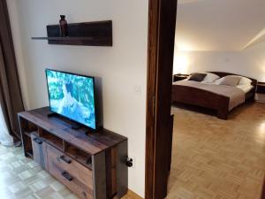 TV a/nebo společenská místnost v ubytování ATMOSPHERE Apartments