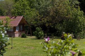 Vonkajšia záhrada v ubytovaní Tókert Vendégház