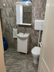 a bathroom with a sink and a toilet and a mirror at Kuca za odmor Harmony in Čurug