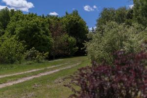 Príroda v okolí apartmánu