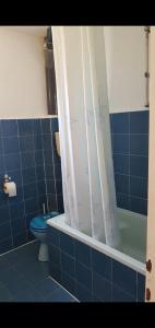 Ένα μπάνιο στο Studios Velika Plaža +65 φωτογραφίες