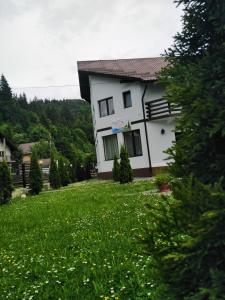 Afbeelding uit fotogalerij van Pensiunea Julian House in Moieciu de Jos