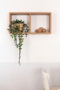 une étagère avec une plante sur un mur blanc dans l'établissement Colombina Like at home 3 bedrooms fully equipped air conditioned, à Venise