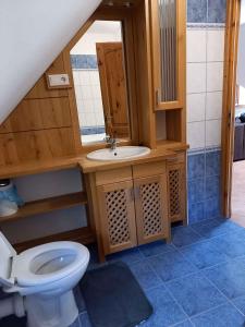 バラトンベレーニにあるApartment in Balatonbereny/Balaton 26487のバスルーム(トイレ、洗面台付)