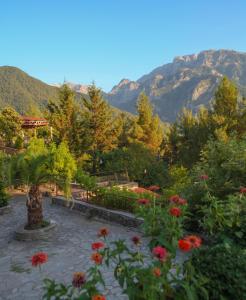 a garden with flowers and trees and mountains in the background at Konitsa Panorama in Konitsa +31 photos