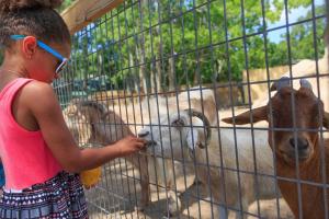 a young girl petting a goat in a cage at Windward Point Unit 1004 in Orange Beach