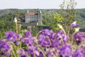 Příroda nedaleko hotelu