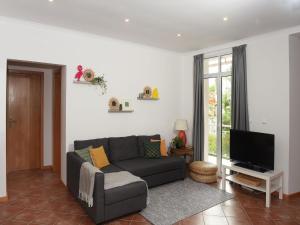 a living room with a couch and a tv at Flamingo Apartment in Furnas