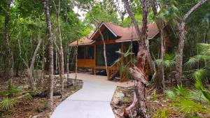 une maison au milieu de la forêt dans l'établissement Energy Tulum Holistic Ranch, à Tulum