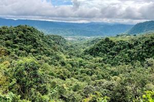 Gallery image of Mindo cozy house in Mindo