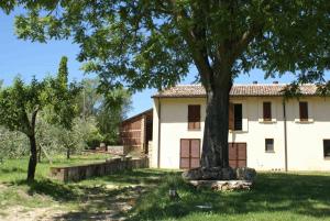 uma casa velha com uma árvore em frente em La Perticara Agriturismo em Acquasparta