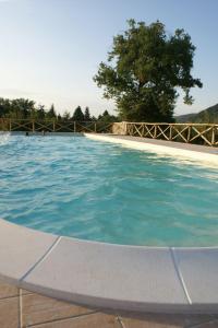 ein Pool mit blauem Wasser vor einem Baum in der Unterkunft La Perticara Agriturismo in Acquasparta