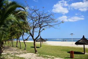 a beach with a row of palm trees and the ocean at Casa Rosa in Flic-en-Flac
