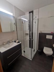 a bathroom with a shower and a sink and a toilet at Apart Kröll in Schlitters