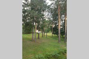 Zahrada ubytování Lep apartman TARA -Kremna