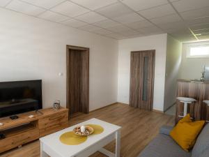 TV a/nebo společenská místnost v ubytování Apartmany Motocentrum