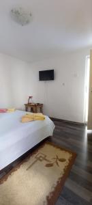 a bedroom with a bed and a television on a wall at Casa la Catalin in Sulina