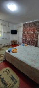 a bedroom with a large bed in a room at Casa la Catalin in Sulina +1 photo