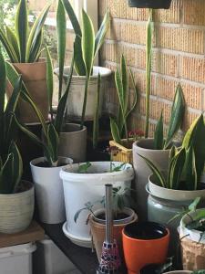 Fotografie z fotogalerie ubytování Arthome Småland v destinaci Ruda