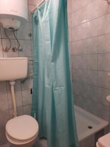 a bathroom with a toilet and a shower curtain at Apartmani Neven in Irig