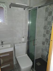 a bathroom with a shower and a toilet and a sink at Casa Rural Chuan Murillo in Bestué +17 photos