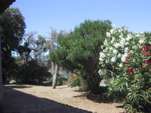 Vườn quanh Locations A Suara