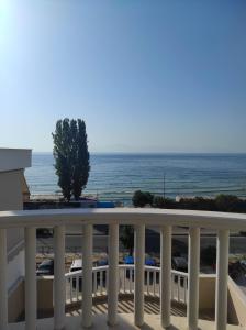 Táj Show holiday homes közelében