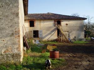 un perro sentado frente a una casa en Domaine La Baronne, en Buzet-sur-Tarn