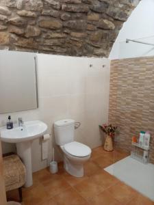 a bathroom with a toilet and a sink at Casa "La Huerta" DE RODA DE ISABENA in Roda de Isábena