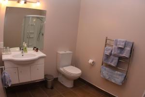 y baño con aseo, lavabo y ducha. en Richmond Farm Lodge en New Plymouth