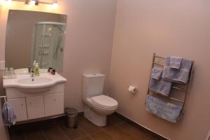 a bathroom with a toilet and a sink and a shower at Richmond Farm Lodge in New Plymouth