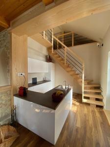 a kitchen with a sink and a spiral staircase at Apartamenty Krynica - ul. Podgórna in Krynica Zdrój