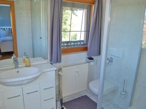 W łazience znajduje się umywalka, toaleta i prysznic. w obiekcie Ferienwohnung am Wirtsgarten w mieście Bad Birnbach
