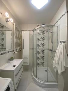 y baño con ducha y lavamanos. en Przytulny apartament niedaleko centrum, en Szczecin