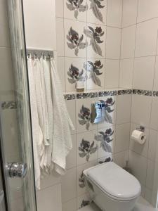 y baño con aseo y ducha. en Przytulny apartament niedaleko centrum, en Szczecin