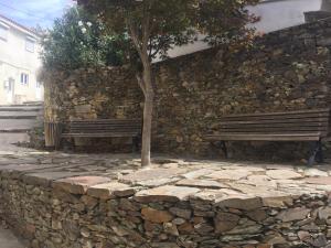 zwei Bänke neben einer Steinmauer mit einem Baum in der Unterkunft Casa Seixas Batista in Pinhão