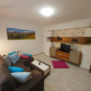 a living room with a couch and a tv at Ferienwohnung Michaela in Lackenhof