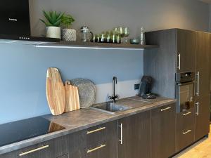 a kitchen with a sink and a counter top at Arctic Loft Apartments in Akureyri
