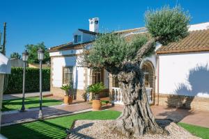 Vonkajšia záhrada v ubytovaní Casa Luxury "El Olivo de Córdoba" con jacuzzi y parking privado