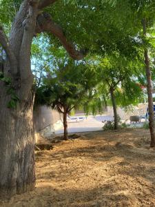 Gallery image of TERRETA PISCINA Y PLAYA in Guardamar del Segura