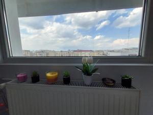 Nuotrauka iš apgyvendinimo įstaigos Cozy home in the city center - Panoramic studio next to metro Bukarešte galerijos