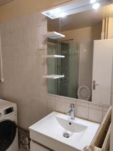een badkamer met een wastafel en een spiegel bij Studio Galy in Metz