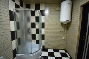 a shower stall in a bathroom with a checkered floor at Коттедж Злата in Svityazʼ +38 photos