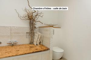Fotografie z fotogalerie ubytování chambre d'hôte et gîte du jardin des corsaires v destinaci Saint Malo + 27 fotografií