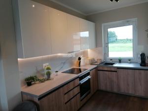 kuchnia z drewnianymi szafkami, umywalką i oknem w obiekcie Apartament Golf & Nature - Na Polu Golfowym w mieście Sobienie Biskupie