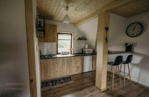 Kuchyňa alebo kuchynka v ubytovaní Apartament u Łowiszów