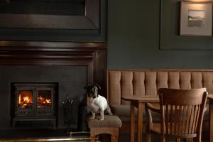 a dog standing in front of a fireplace at The Glencoe Inn in Glencoe