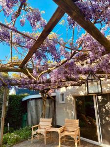 two chairs and a table under a tree with purple flowers at Boukje har Bêd en Brochje in Burgum