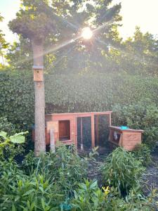 a small house sitting next to a tree at Boukje har Bêd en Brochje in Bergum